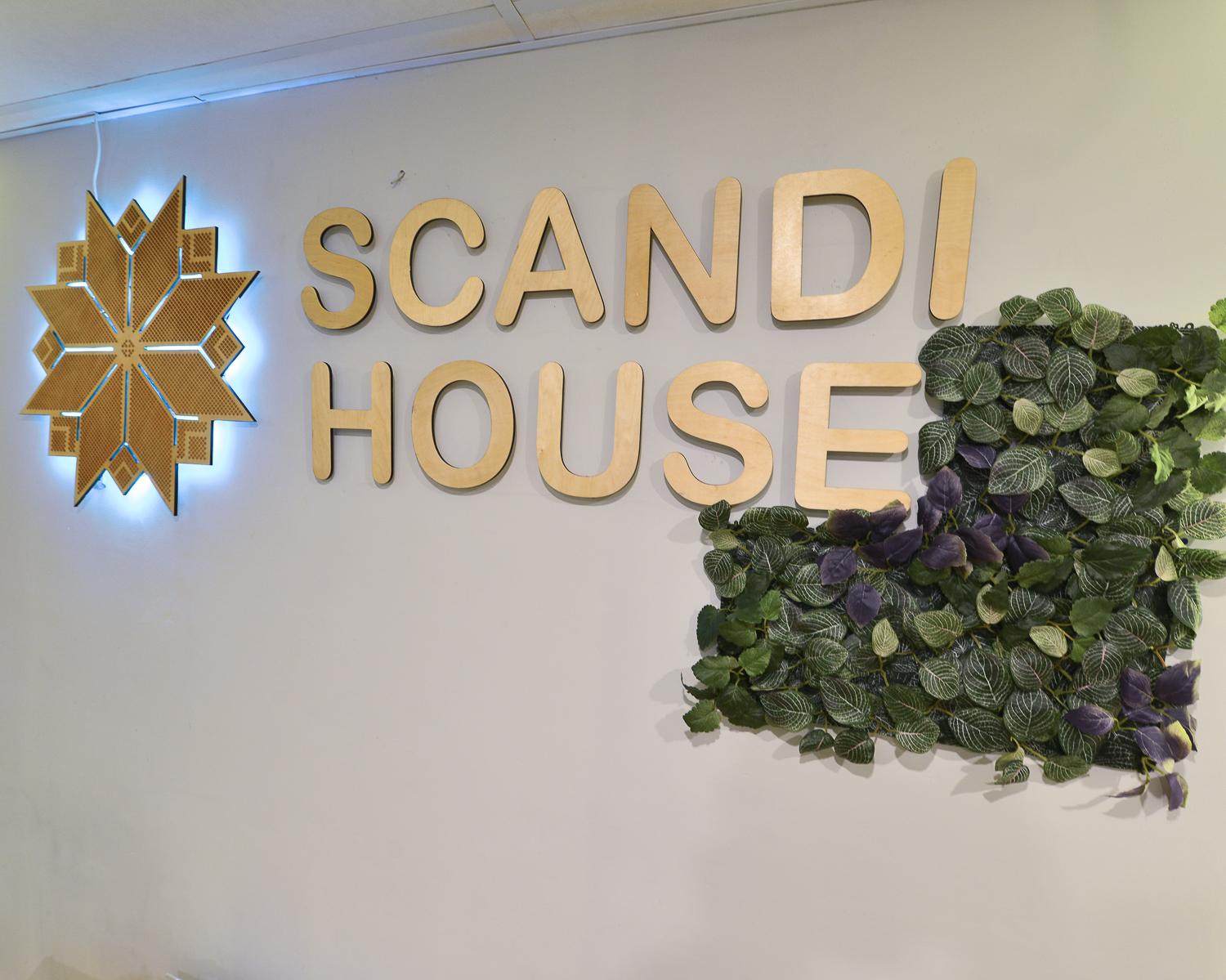 Scandi House  (Сканди Хаус) - 5