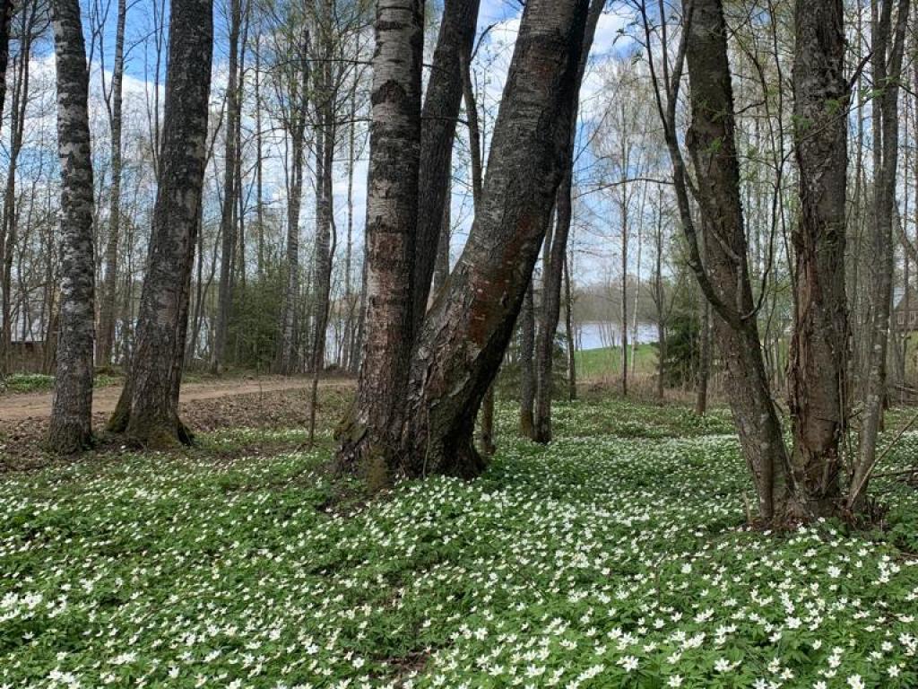 Хутора на озере Алё