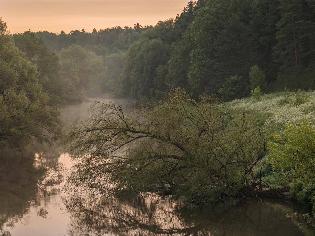 Загородный отель Pine River (Пайн Ривер)