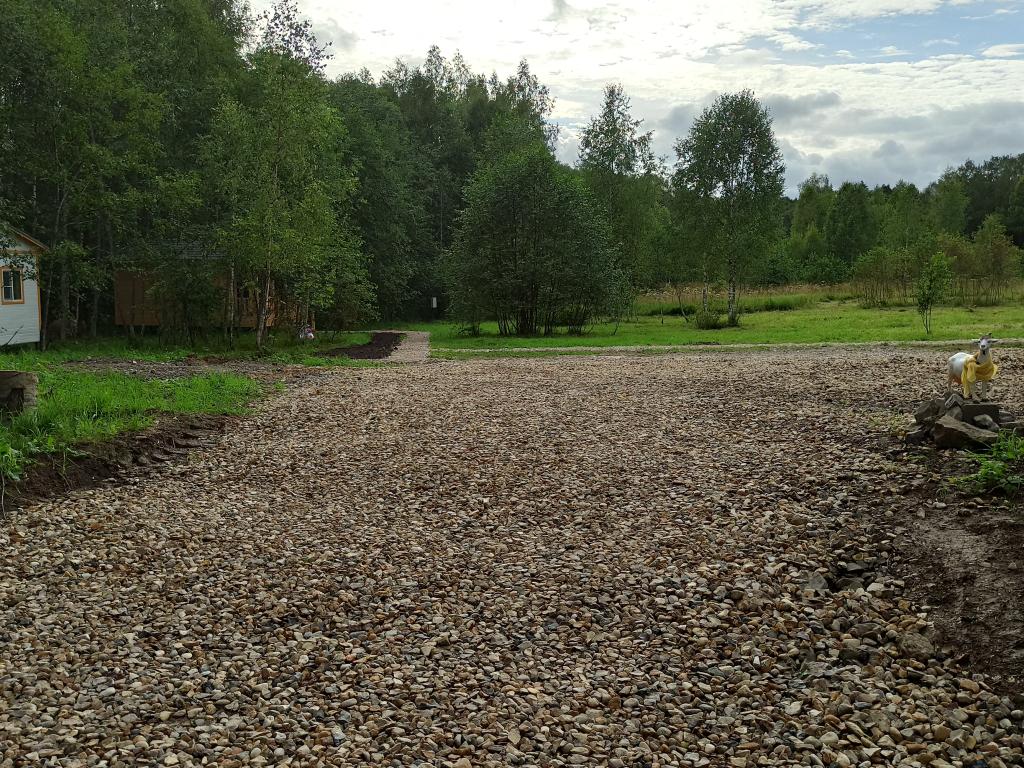 Модная коза
