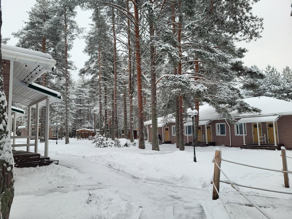 Морошка