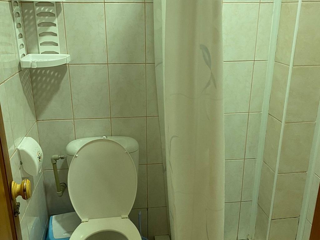Парадайс
