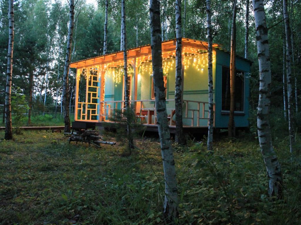 Лесной сон