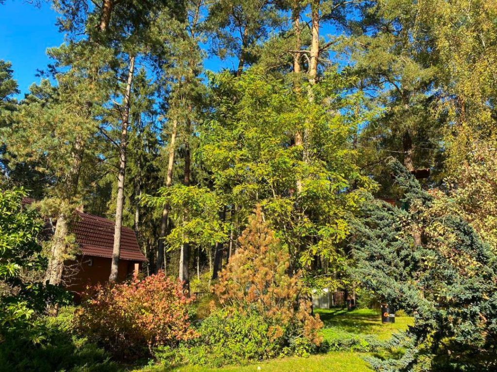 Forto-Ranta Park Hotel (Форто-Ранта)