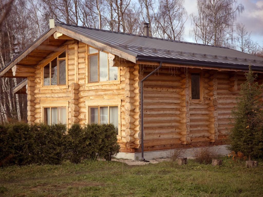Кедровый