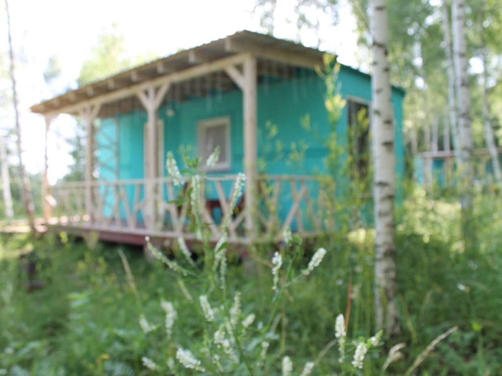 Лесной сон