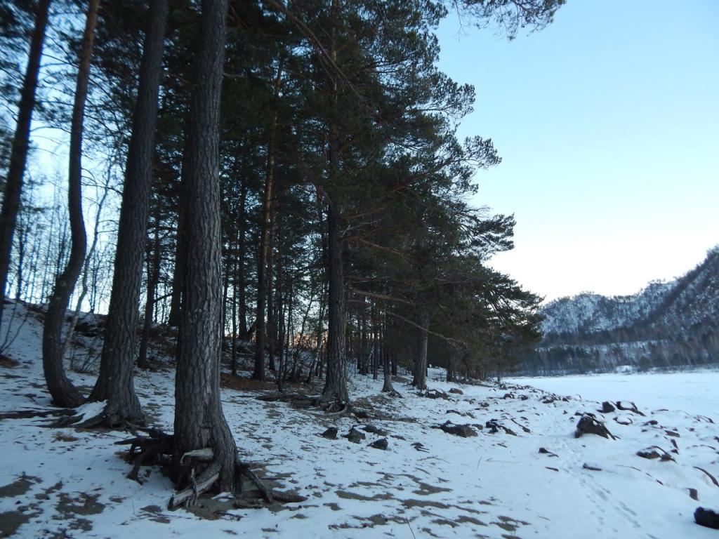 Лазурит