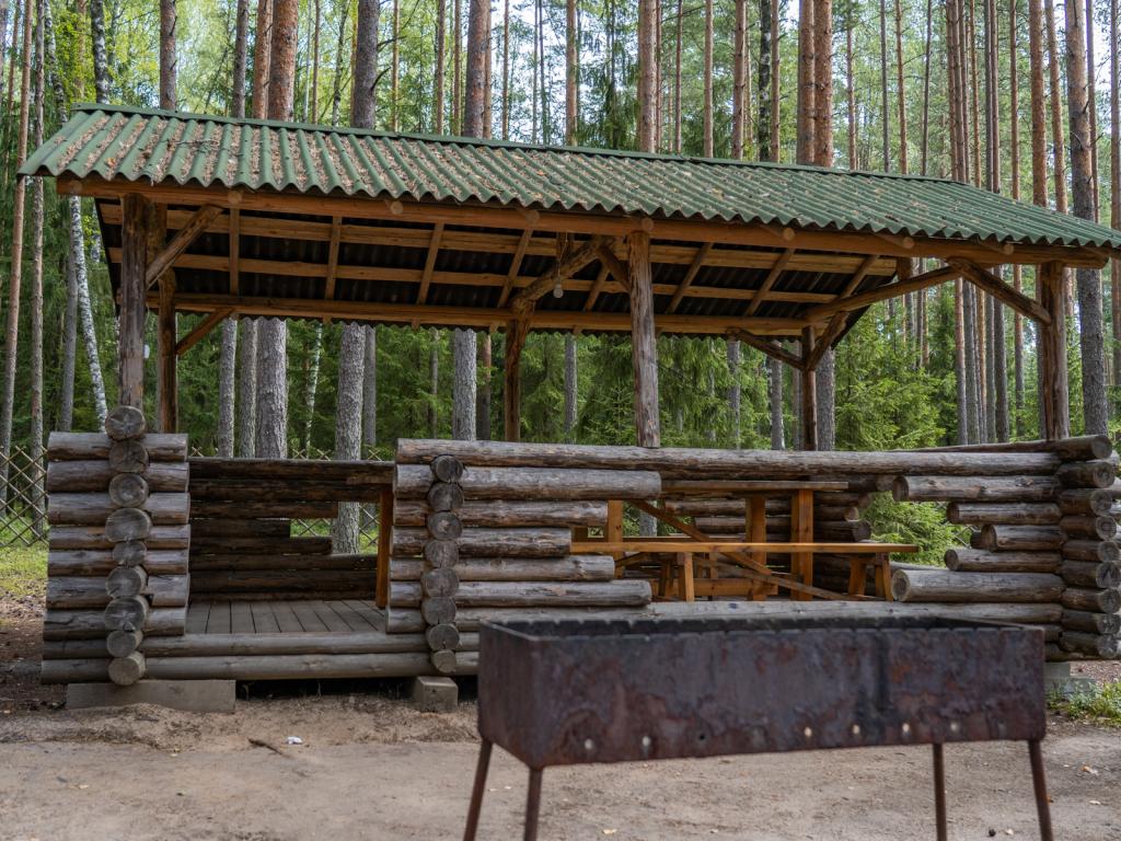 Шишки на Лампушке