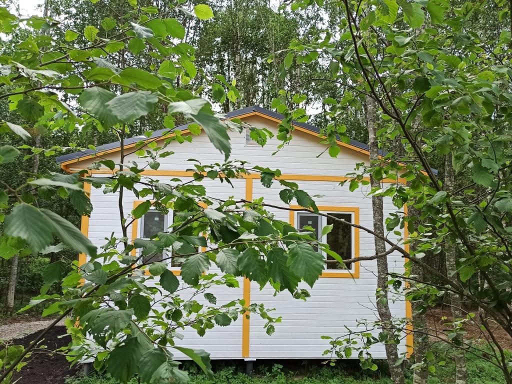 Модная коза