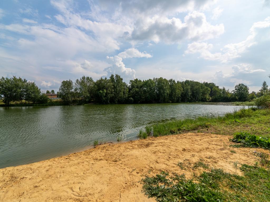 Skandi Белка (Сканди)