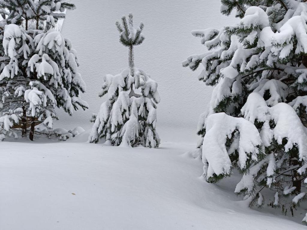 ЛаДача