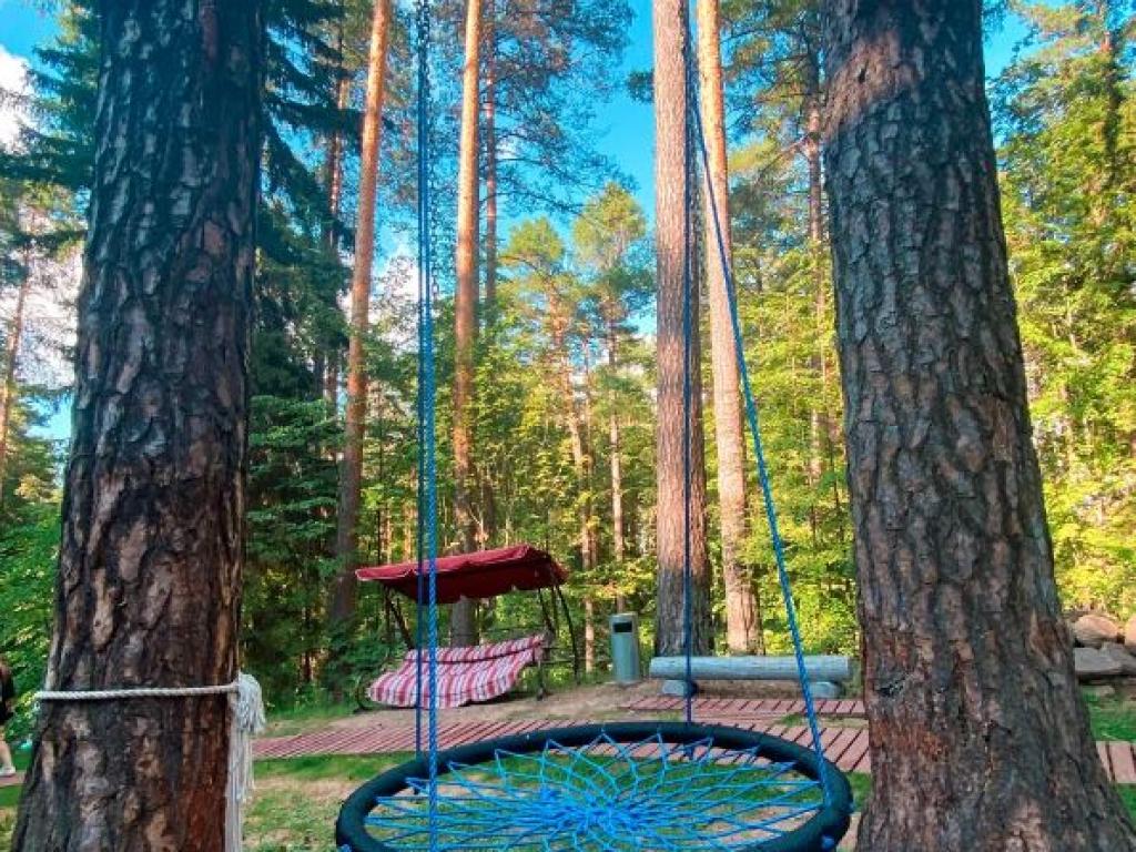 Костоваты