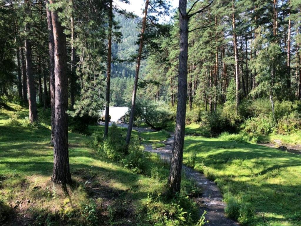 Горный Алтай