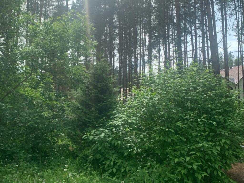 Кандры-Куль
