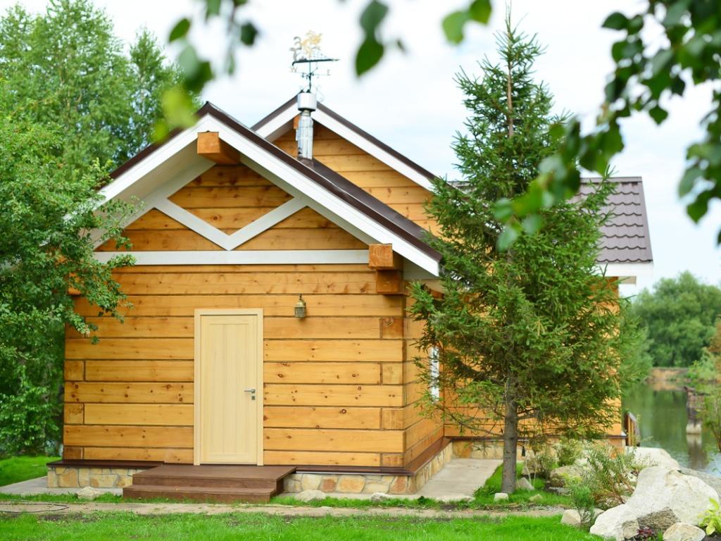 Калина Красная