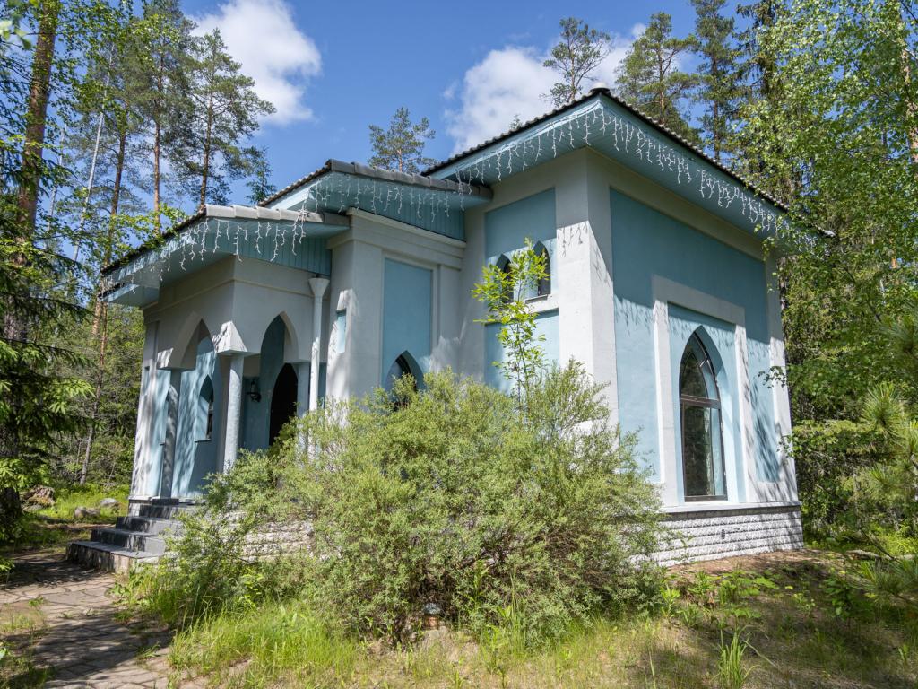 Шишки на Лампушке
