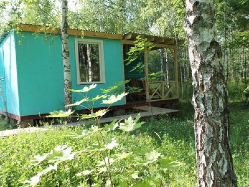 Лесной сон