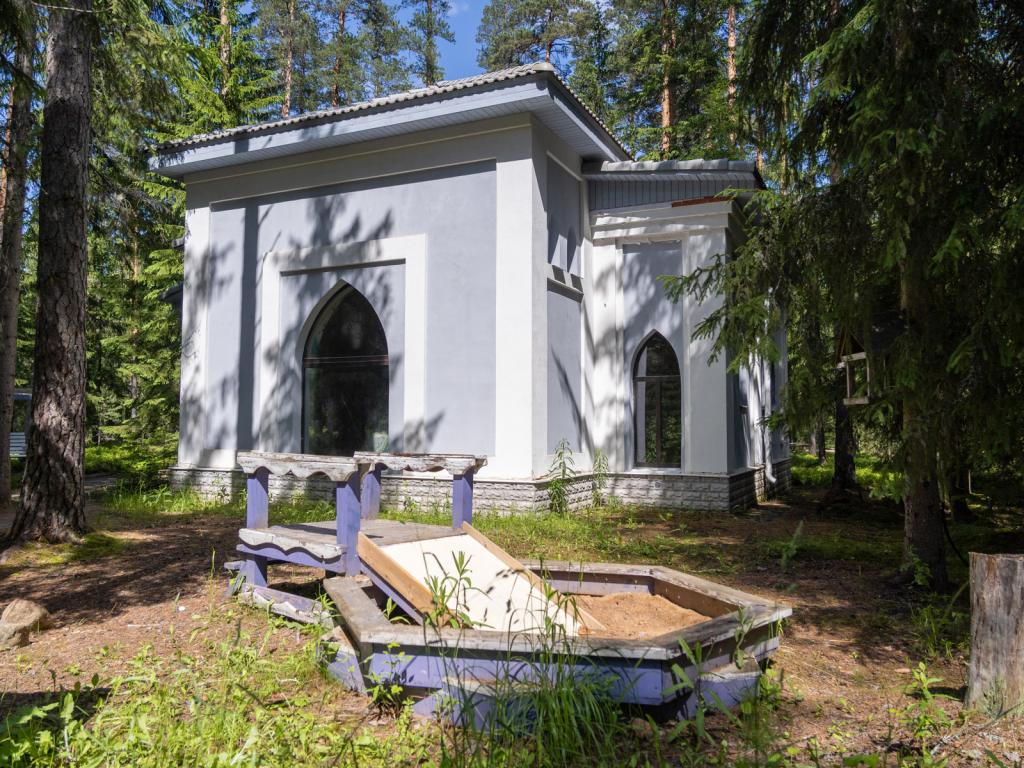 Шишки на Лампушке