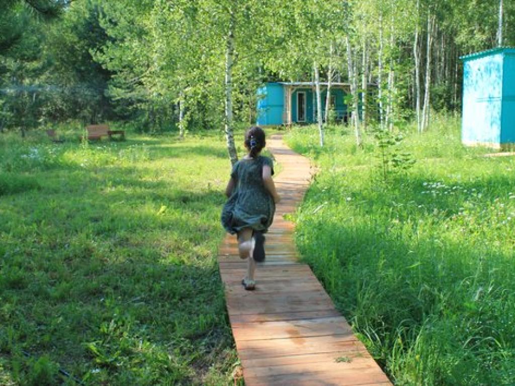 Лесной сон