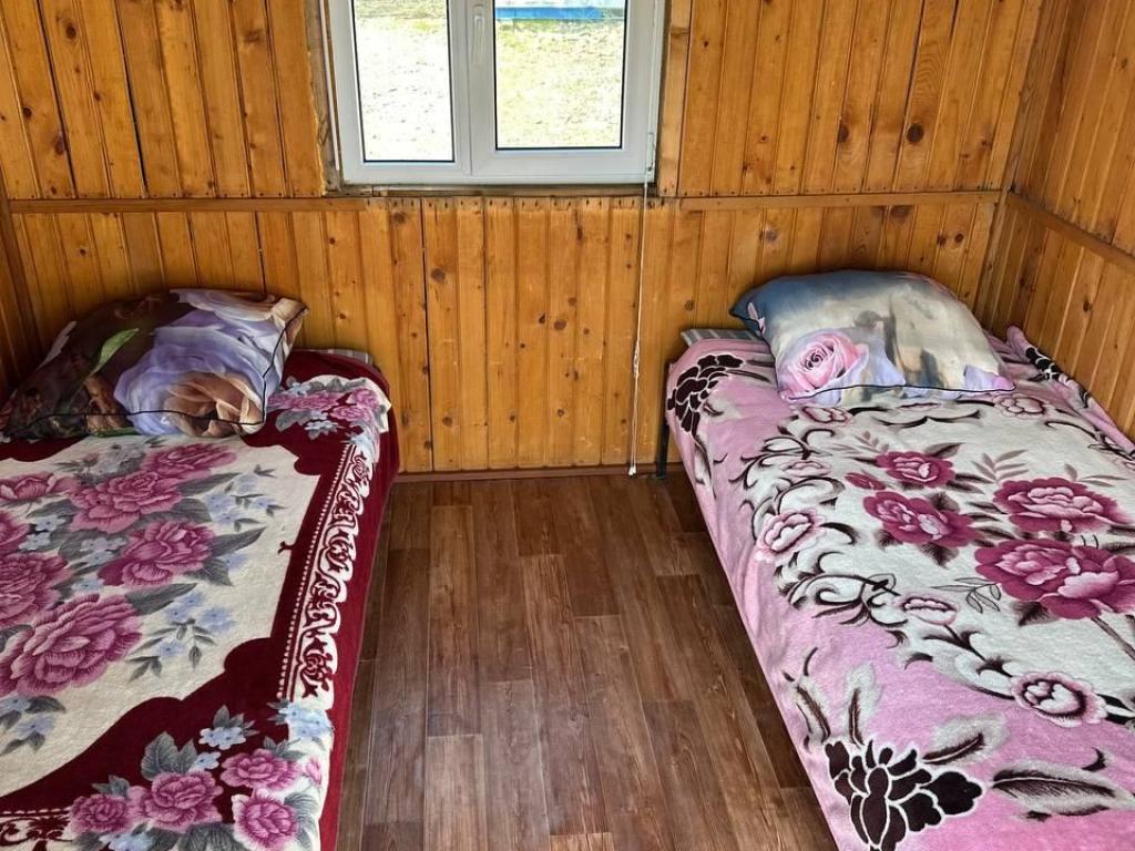 Янтарная