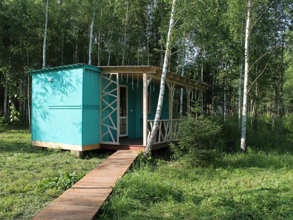 Лесной сон