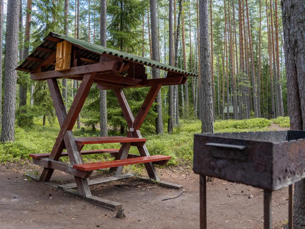 Шишки на Лампушке