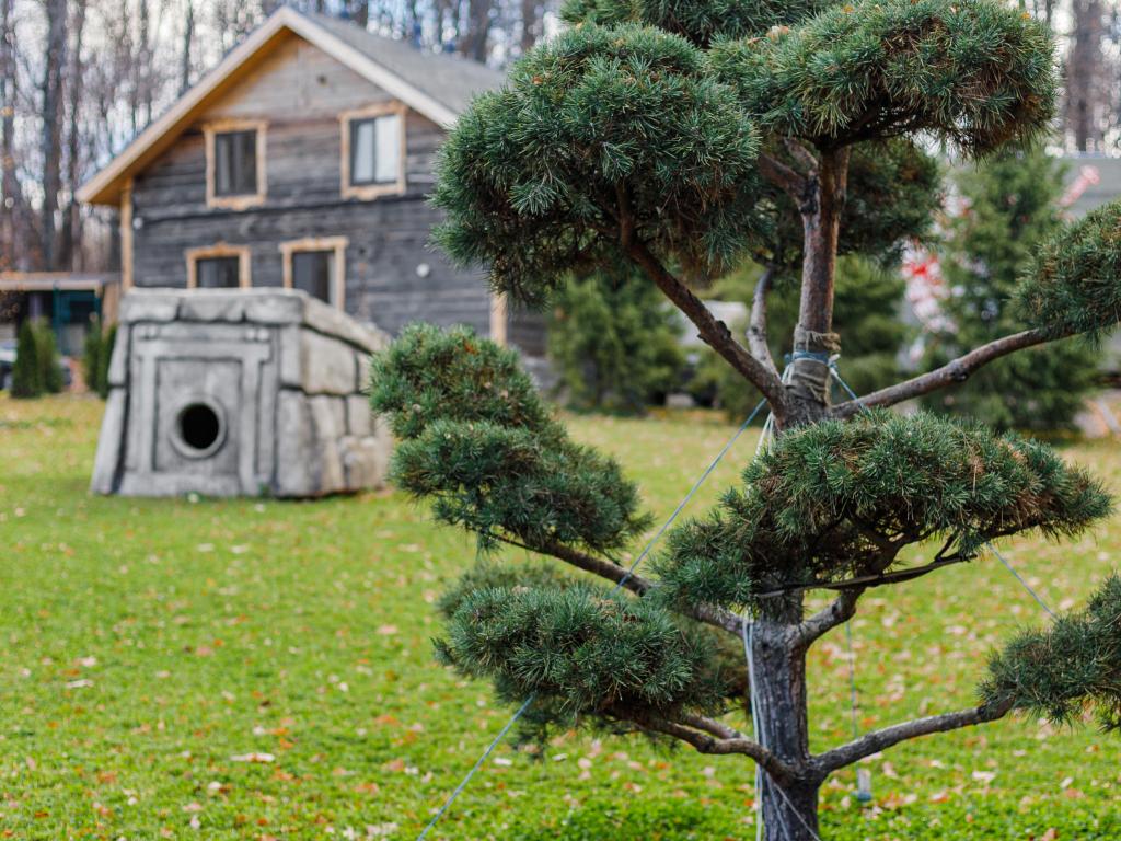 Odin House (Один Хаус)