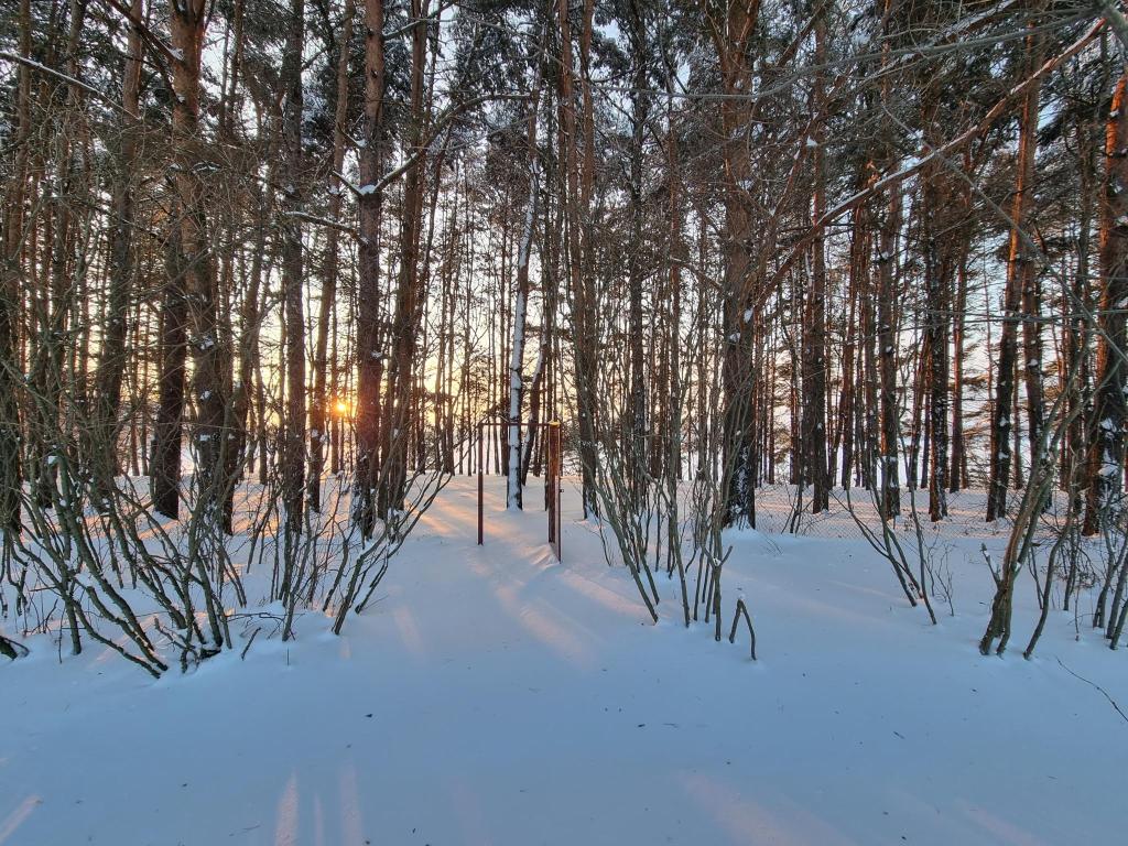 ЛаДача