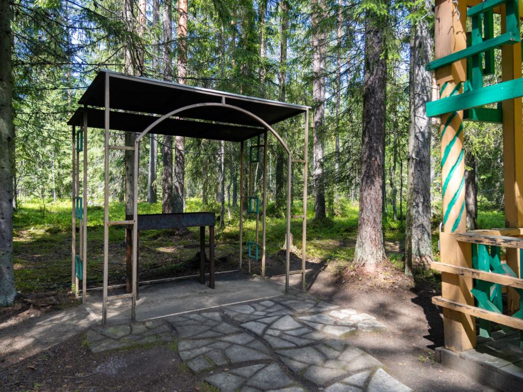 Шишки на Лампушке