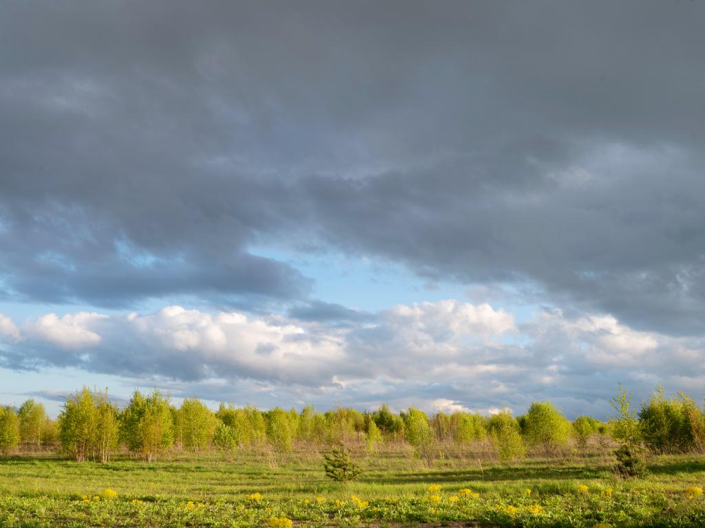 Загородный отель Pine River (Пайн Ривер)
