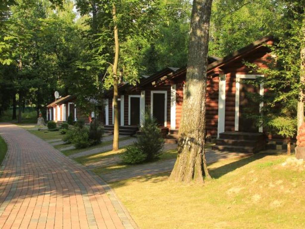 Березовая роща
