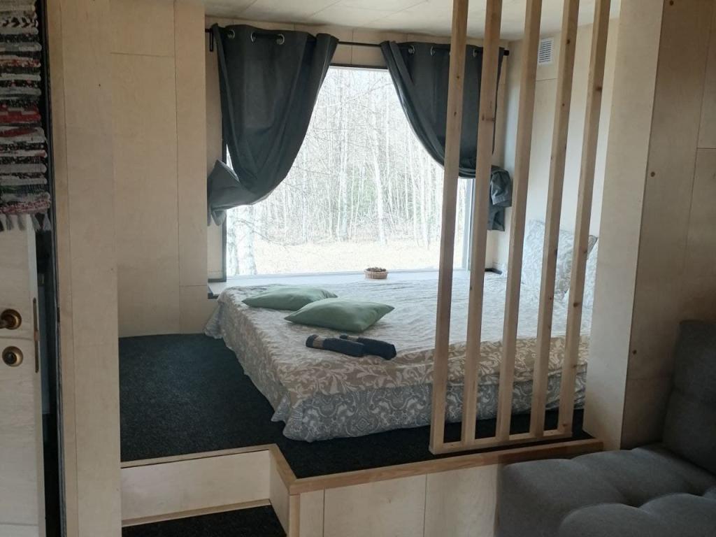 Глэмпинг Папоротник
