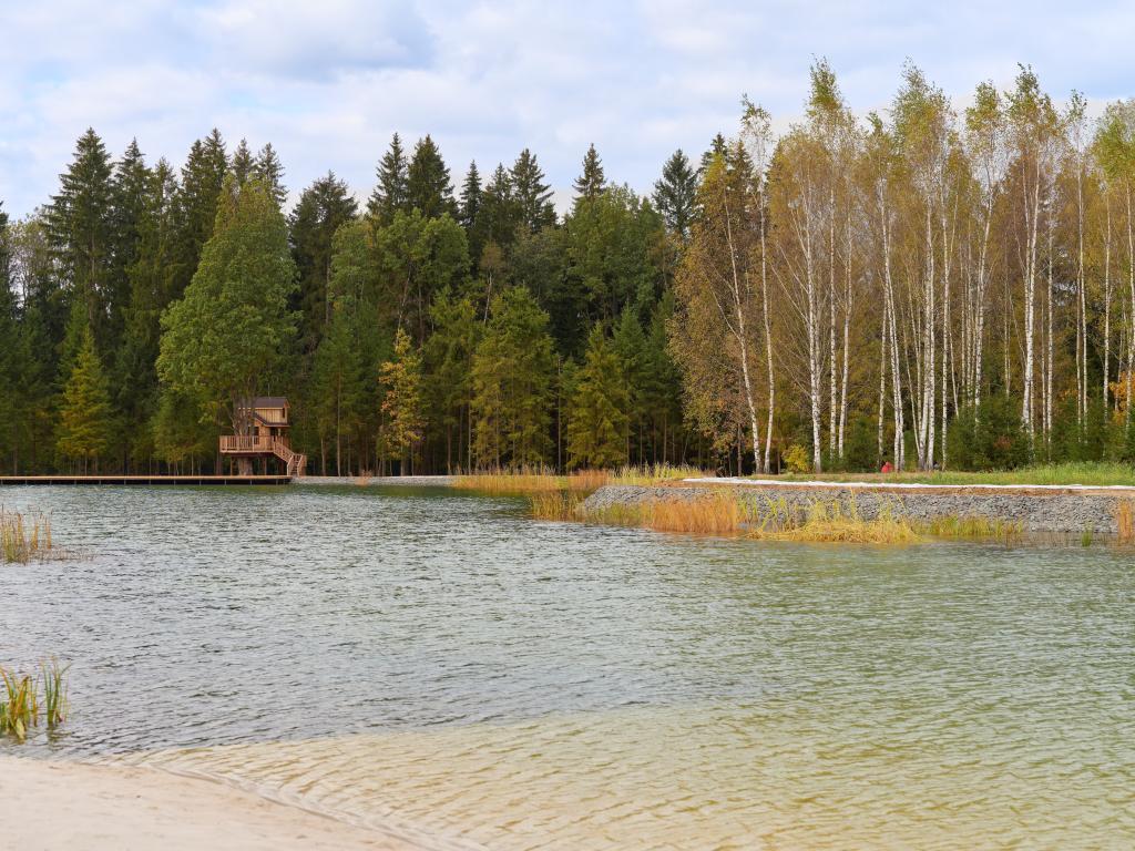 Русские сезоны Эмбиент парк