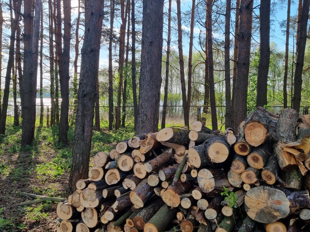 Горетово Парк