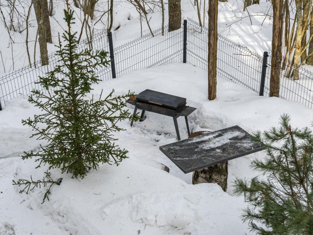 Лесной восход
