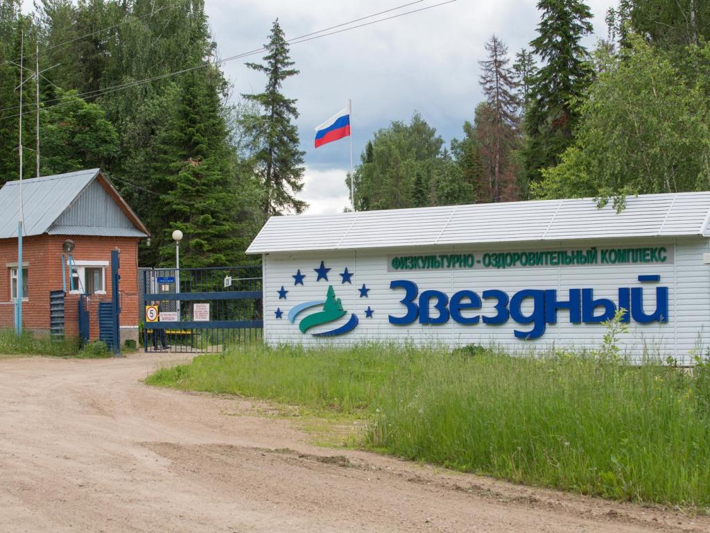 Звездный