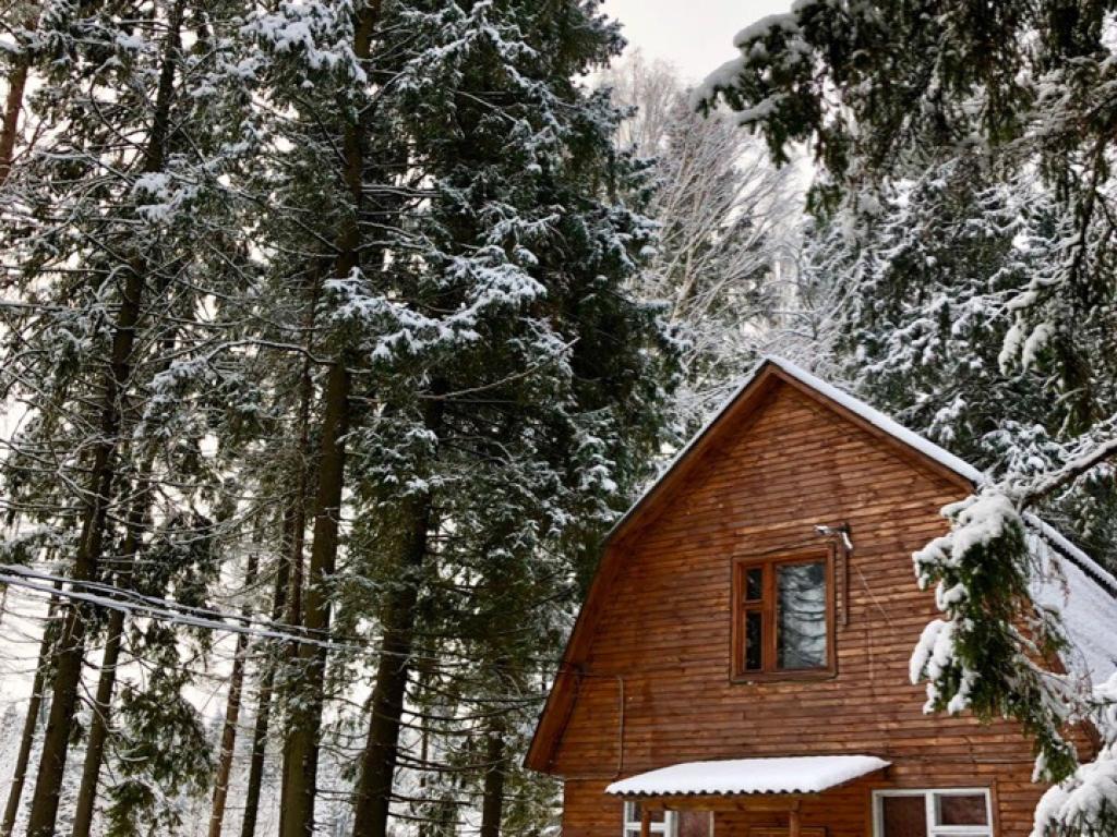 Конни