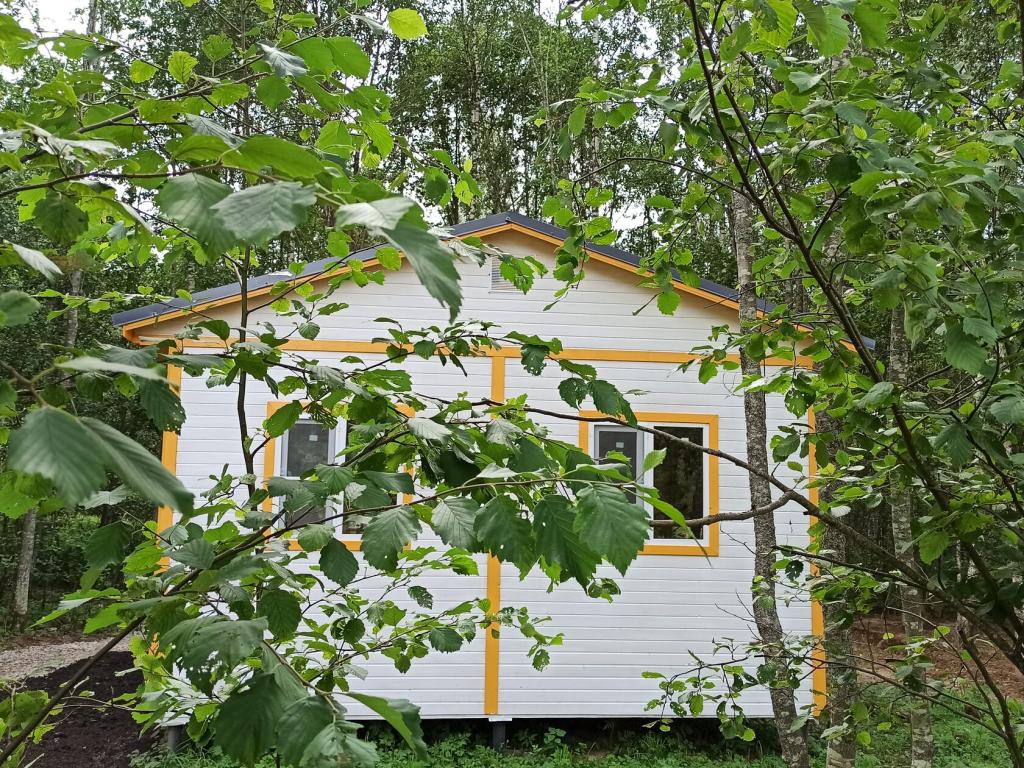 Модная коза