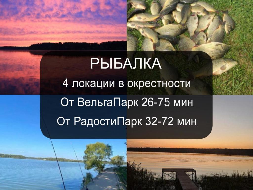 Елки Шале в ДНП Радости Парк 1, 274