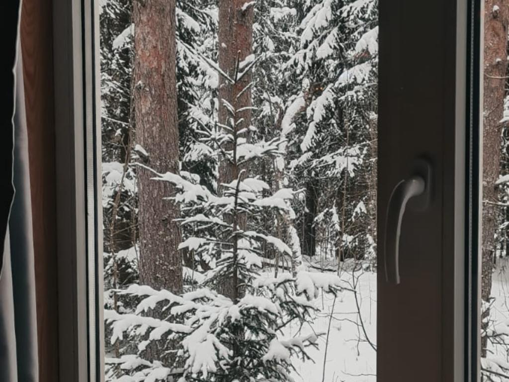 Тихий Каньон