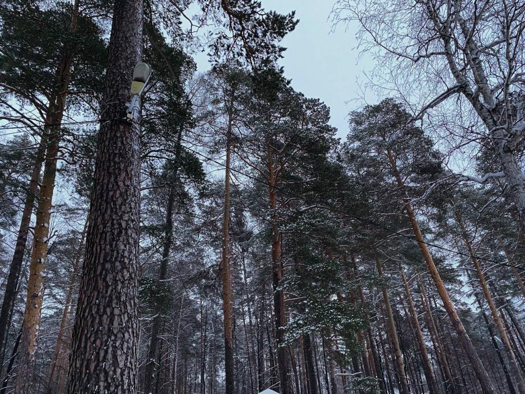 Загородный клуб Лесная сказка