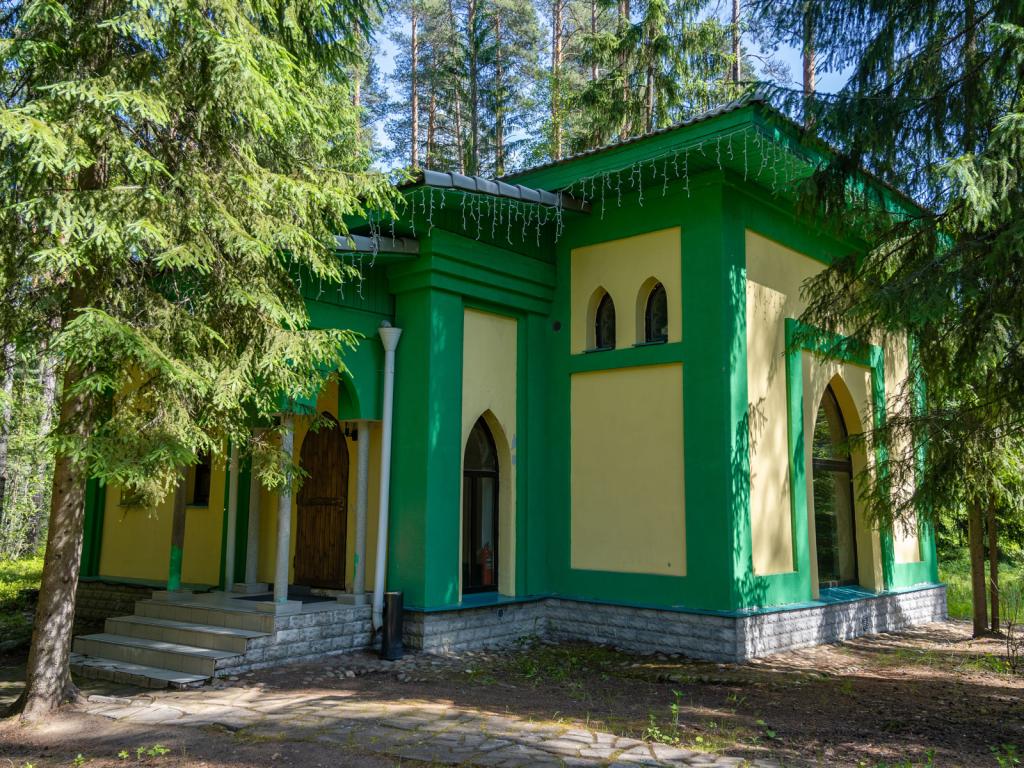 Шишки на Лампушке