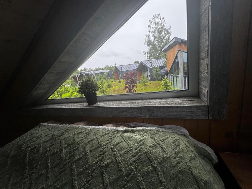 Древопаркъ