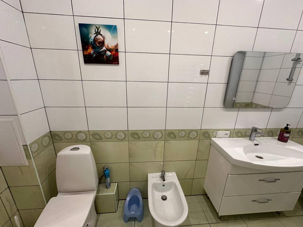 Море, Отдых, Котики