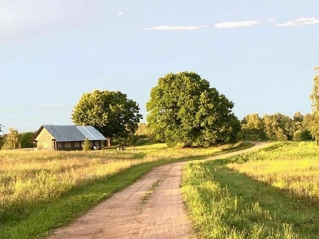 Хутора на озере Алё
