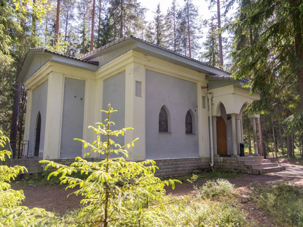 Шишки на Лампушке