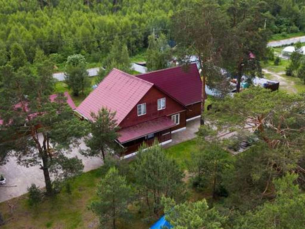 Кукушка