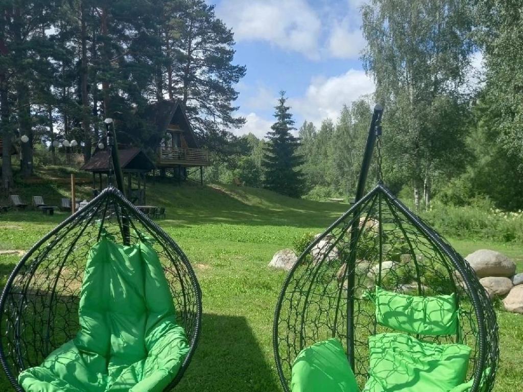 Сосновая роща