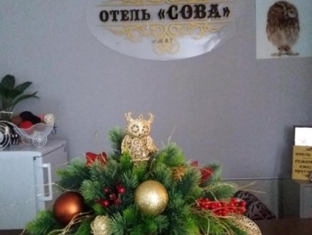 Сова