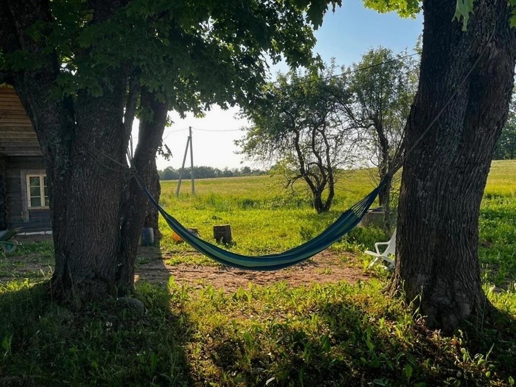 Хутора на озере Алё